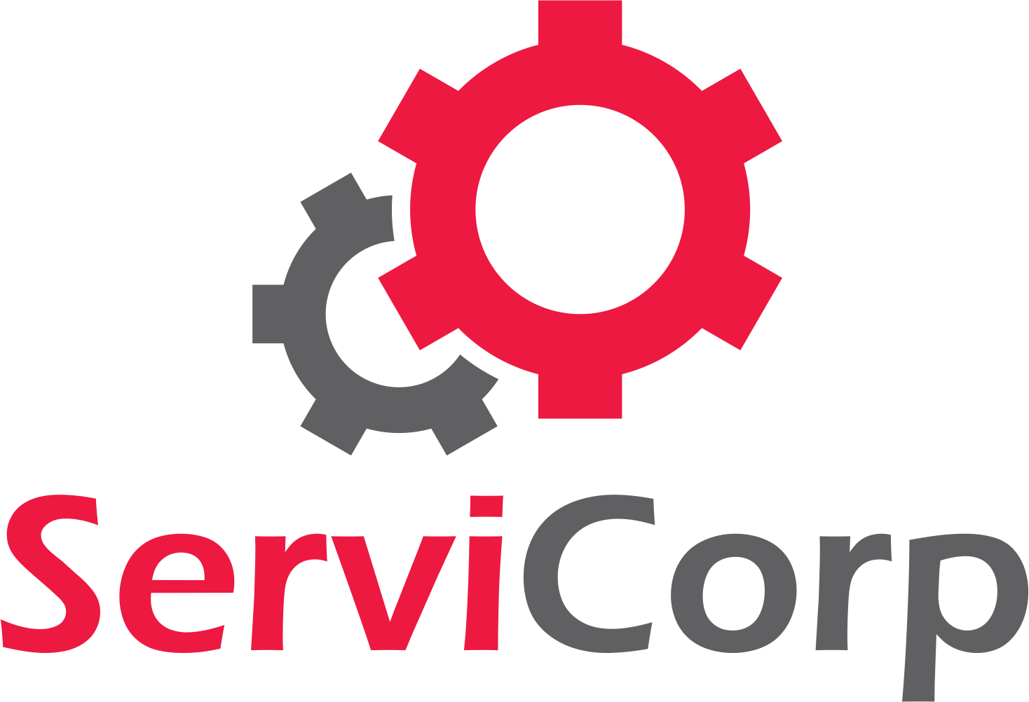 Footer Logo